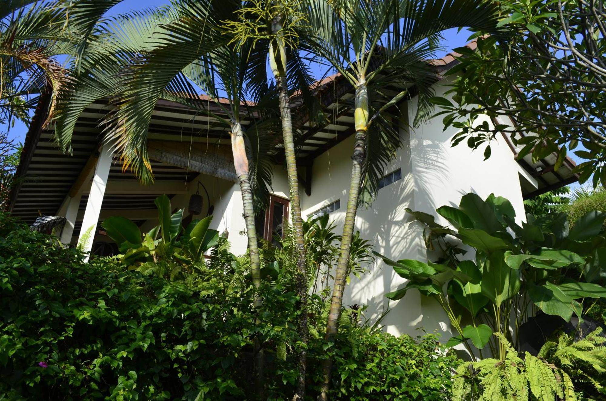 Alamanda Lovina Resort מראה חיצוני תמונה
