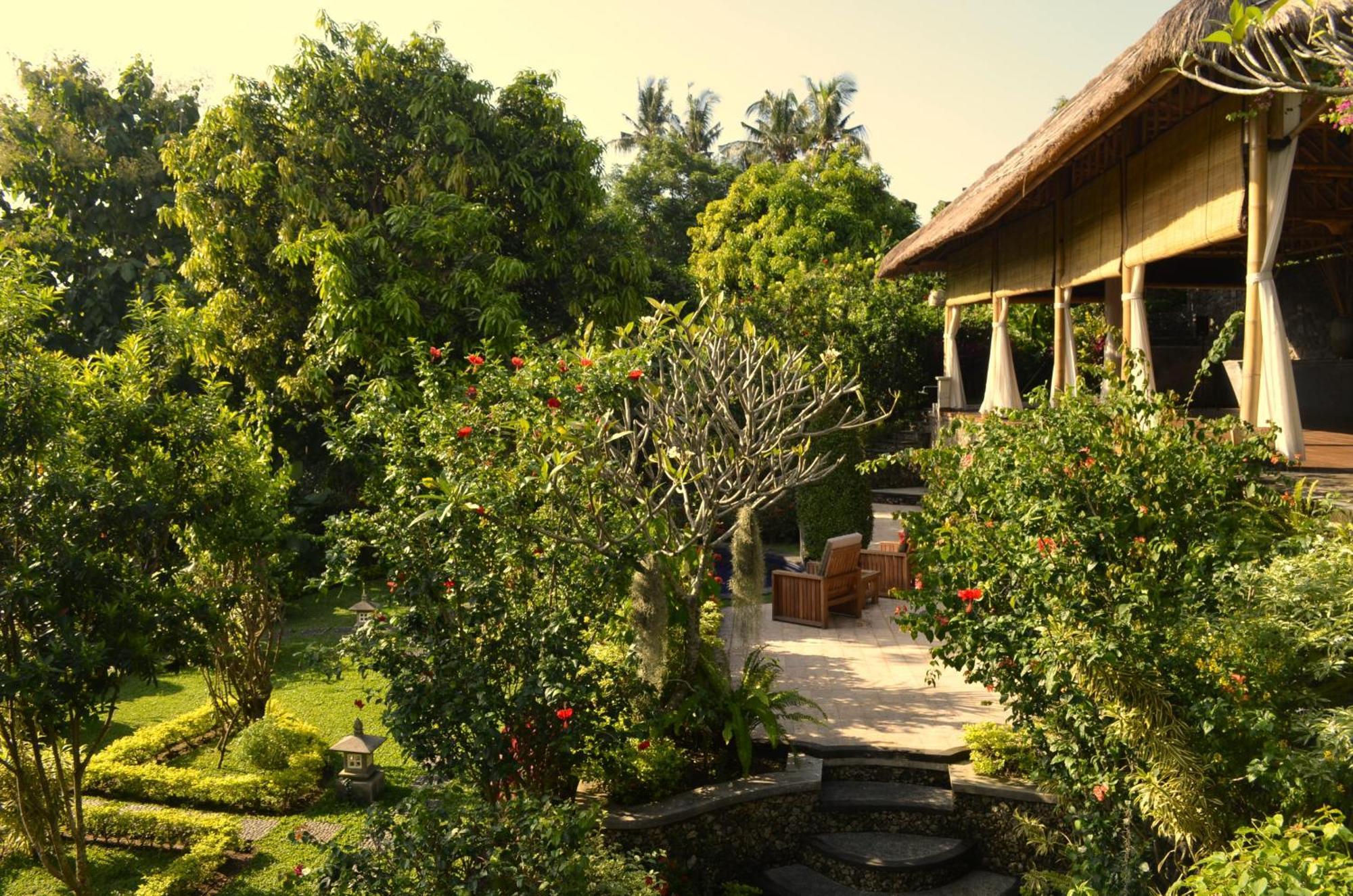 Alamanda Lovina Resort מראה חיצוני תמונה